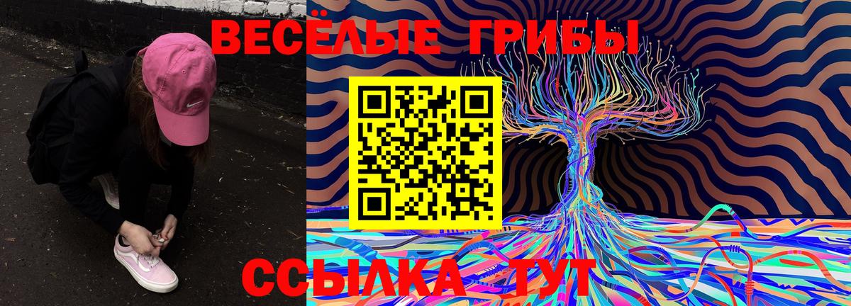 Гусиноозёрск  Галлюциногенные грибы Psilocybe  Вход с VPN 